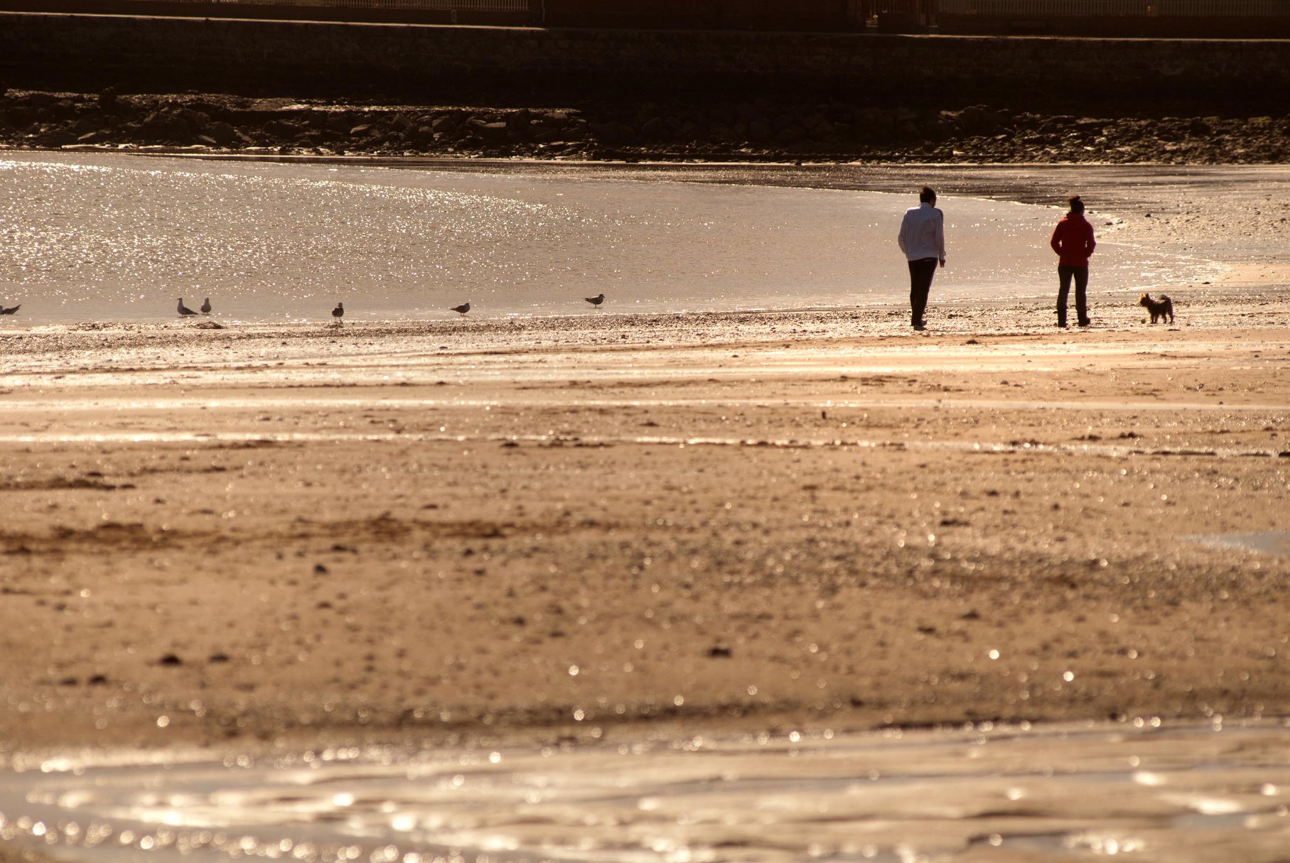 South Tyneside Homes South Tyneside Homes Sustainability Principles